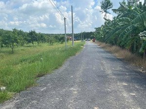 bán đất 100m2 tại trần văn trà, tân bình, tây ninh, giá 250 triệu, view đẹp, nhiều tiện ích