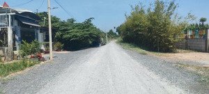 bán đất xã bình mỹ, củ chi mặt tiền đường đại lộ ven sông sài gòn nằm cạnh vành đai 3