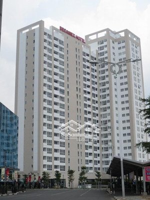 cho thuê căn hộ becamex sunrise 2pn diện tích 50 m2