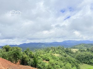 bán 1000m2 sổ hồng riêng giá 299tr