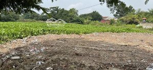 bán lô đất trung tâm hành chính mới huyện đức hòa