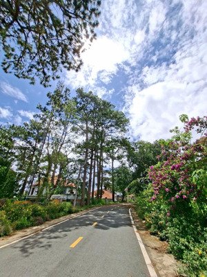 villa mặt tiền yên thế view cực đẹp ngang 17m 4 tầng thoáng sáng
