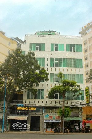 cho thuê dài hạn tòa nhà tư nhân mặt tiền ngã tư võ thị sáu hoàng hoa thám trung tâm vũng
