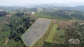bán đất farmstay view hồ bcp-01 cơ hội đầu tư hiếm có tại tà đùng