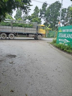 bán 385m2 đất 50 năm song phương, hoài đức chỉ 1 tỷ 540 triệu