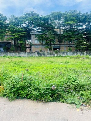 còn 3 lô đất ngay kp tân hóa, tân vĩnh hiệp, tp tân uyên. 200m2/1 tỷ100. shr, full thổ. xd tự do.