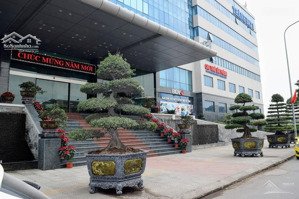 cho thuê văn phòng hạng a tại hải phòng tòa nhà thành đạt 1 building, lê thánh tông
