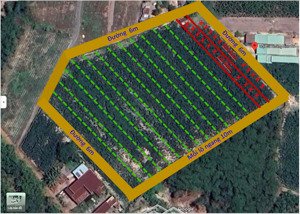 bán trang trại khu nghỉ dưỡng tại cầu khởi, dương minh châu, tây ninh, mỗi lô 800 triệu/ 1000m2