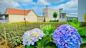 đất trung tâm | cách sân bay liên khương đà lạt 1,5km | giá rẻ