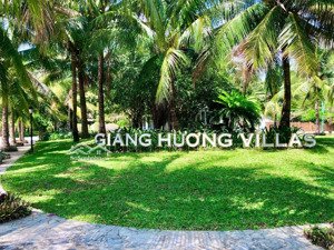 lô biệt thự giáng hương, xã vĩnh thái, nha tảng. dt 280m2 - ngang 12m. giá 19 triệu/m2