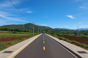 chính chủ bán đất vàng tại liên hiệp-liên nghĩa-lâm đồng.