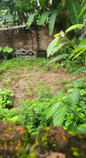 giá rẻ nhất khu vực 30m ngõ thoáng, 30m ra trục chính ô tô tránh, chỉ 2.35 tỷ
