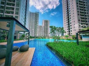 phòng kdbds novaland bán căn hộ sunrise 55m2 từ 1,9 đến 2.4tỷ, căn 2pn/4.2tỷ căn 3pn/5tỷ sổ hồng
