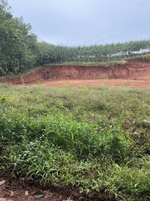 tôi chính chủ bán nhanh lô đất nền 529m2, ấp thanh hải, xã thanh lương, bình long