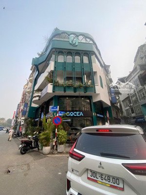 chính chủ bán đất thanh am, đức giang, long biên 119m2 lô góc giá 12 tỷ