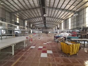 cho thuê xưởng tdt 5.400m2 xd 3.000m2 giá 280tr xuân thới sơn hm