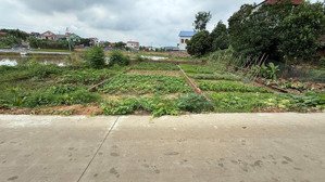 chính chủ bán lô đất 100m full thổ cư giá chỉ 1x tỷ tân yên, trung giã, sóc sơn