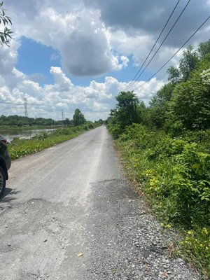 bất động sản tại tam tân, thái mỹ, tp. hcm