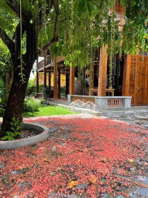 biệt thự vườn gỗ - view sông - 300m2 - full thổ cư - nguyễn bình - 9,5 tỷ