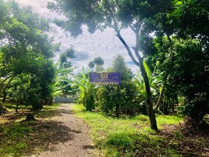 sông nhạn - cẩm mỹ 1.3ha giá ngộp 9tỷ - vườn sầu riêng đang thu hoạch đường oto tới đất sổ riêng