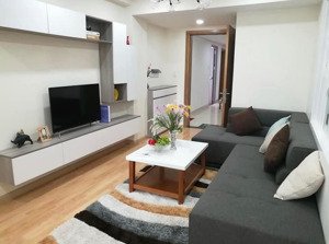 cần bán gấp căn hộ an gia garden tân phú shr bao phí sang tên
