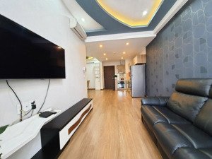 cho thuê căn hộ 57m2, 1+1pn 1wc, chung cư the botanica q. tân bình