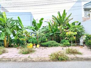 CG.BÁN NỀN ĐẸP 81M2 (có mương hở 2M bên hông)- ĐƯỜNG SỐ 2, KDC CHIẾN THẮNG- H.TÂY BẮC – LỘ GIỚI 17,5M
