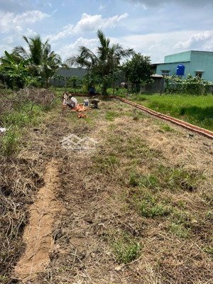 bán đất tại chợ an hoà 150m2 chỉ với 465tr , tại thầy cai, phú hưng, bến tre. full thổ cư.shr.