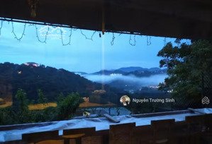 nhà vườn trung tâm đà lạt - không còn nhiều cơ hội như thế này355m2 chỉ 7,5 tỷ.