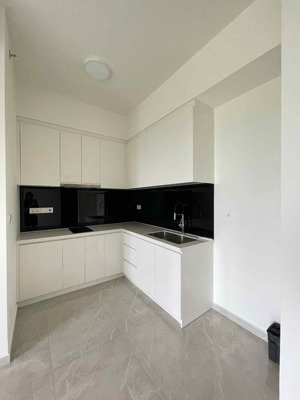 cho thuê cc tại celesta rise, 9 triệu, 48m2, 1pn, 1wc, nội thất cơ bản