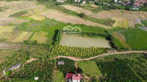 bán đất 1,1 hecta khu công nghiệp phượng sơn thị xã chũ lục ngạn bắc giang 