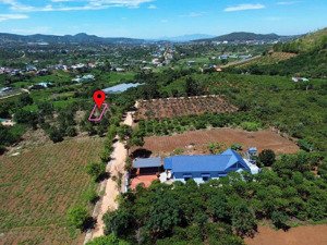 chỉ còn 1 nền duy nhất đất thổ cư tại tt nam ban, view cực đẹp diện tích: 241m2, ngang 8,5m