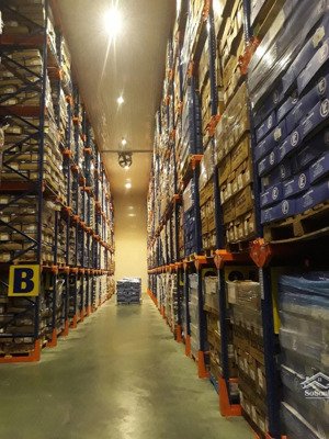 cho thuê kho đông lạnh tại kcn đình vũ - hải phòng