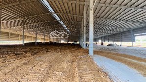 xưởng 35000m2 tân uyên bình dương ngoài khu công nghiệp