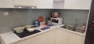 bán cc 1pn, 1wc full nội thất tại brg hilton hải phòng, 4 tỷ, 48m2 siêu hiếm