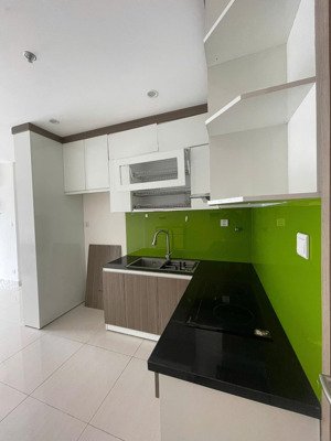 chính chủ cho thuê căn hộ 2pn -54m2 full gỗ liền tường, tầng cao, hướng đông nam giá 9tr/t