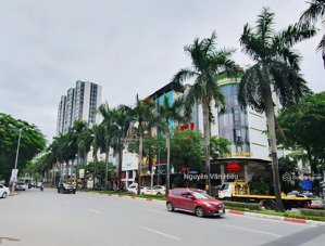 cực hiếm - bán đất mặt phố lê đức thọ 560m2 - mặt tiền 30m - vỉa hè siêu rộng - 190 tỷ