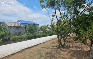 Bán đất tại Thanh Hồng, Thanh Hà, Hải Dương. Cạnh đường cao tốc Hà Nội - Hải Phòng, quy hoạch đường chạy thẳng sang TP Hải Phòng. Diện tích: 548m2, full thổ cư.