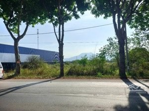 cho thuê 5000m2 đất trống mặt tiền quốc lộ 56 kim dinh, bà rịa