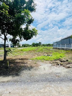 bán đất thổ cư đức hòa, tl824, gần kcn 5x25m giá 1tỷ - view sông tự nhiên