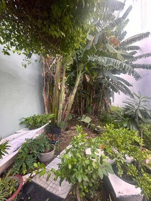 đất nền bán tại phạm thế hiển, p7, q8, hcm, giá cực chất 5,7 tỷ, 82m2