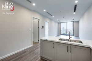 chính chủ cho thuê cc the nine, 2 pn 77 m2 đồ cơ bản giá 16,5 triệu vào luôn