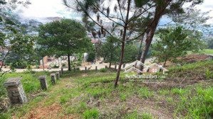 cần bán gấp lô đất mặt tiền đường đống đa, phường 3, đà lạt. lh 