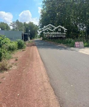 chủ kẹt tiền cần bán gấp 1.2ha đất nhà vườn - đồng phú, bình phước
