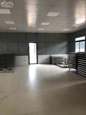 https://khoxuongmiennam.net/ Cho thuê Kho Xưởng 1.000m2 Bình Chánh. Kho đông lạnh, thực phẩm.