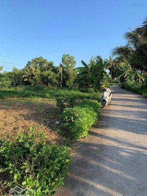 bán đất 500m2 tại láng tròn, giá rai, bạc liêu, p láng tròn, giá rai, bạc liêu, giá 750 triệu, hot!