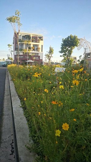 sở hữu shophouse 105m2 chỉ với hơn 1 tỷ tại ranh giới sài gòn, tin được không?