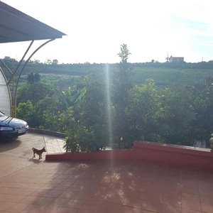 chính chủ cần cho thuê nhà nguyên căn tại hẻm 321 lý thái tổ, phường 2, rất đẹp