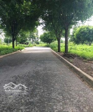 chủ gửi bán lô đất diện tích 5x30m, sổ hồng riêng,full thổ cư lộc an,long an