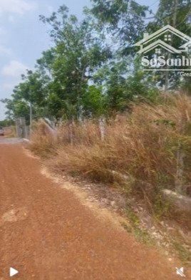 bán đất trang trại 24.000m² xã hiếu liêm, bắc tân uyên có nhà yến, cao su 4 tuổi,giá thương lượng